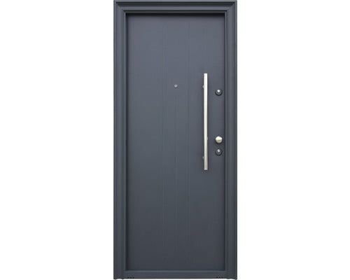 Usa Exterior Metalica Malva 96x205 cm Stanga