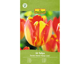 Bulbi De Lalele Floraself Banja Luka 11/12 10 Buc