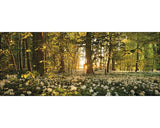 Tablou Sticla Sweet Woodruff 30x80 Cm