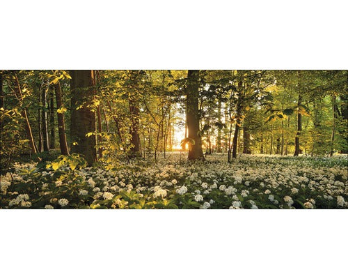 Tablou Sticla Sweet Woodruff 30x80 Cm