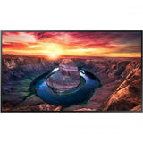 Ecran profesional Samsung QM55B