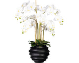 Planta Artificiala Orhidee Fluture Phalaenopsis In Vas Negru 7 Ramuri H 95 Cm Alb