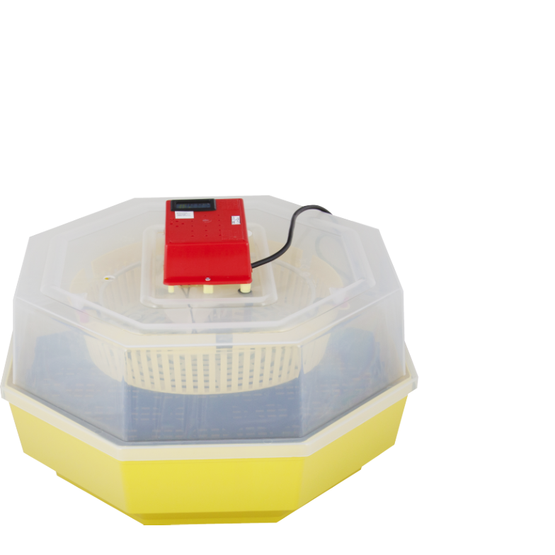 Incubator Electric Cleo-5 cu Termohigrometru