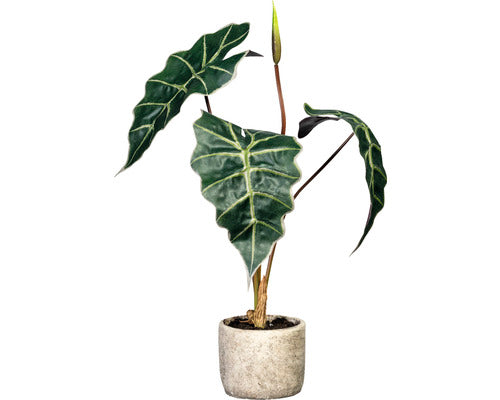 Planta Artificiala Alocasia In Ghiveci H 60 Cm Verde