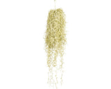 Planta Artificiala Tillandsia Suspendata H 80 Cm Verde