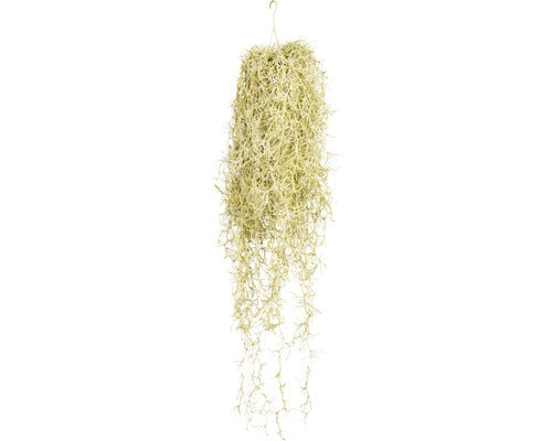 Planta Artificiala Tillandsia Suspendata H 80 Cm Verde