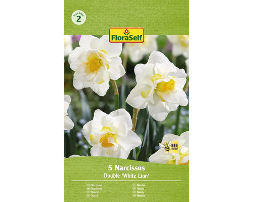 Bulbi Narcise Floraself White Lion 12/14 5 Buc