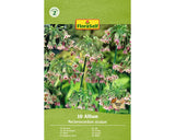 Bulbi De Flori Floraself Allium Siculum 8/10 10 Buc