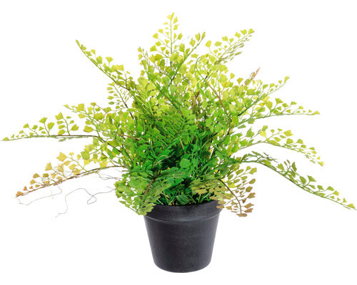 Planta Artificiala Adiantum In Ghiveci H 40 Cm Verde