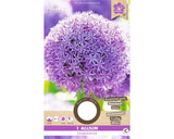 Bulbi De Flori Allium Globemaster 18/20 1 Buc