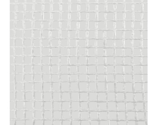 Folie Cu Plasa Floraself 10 X 2 M, 100 G Uv, Transparenta