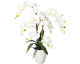 Planta Artificiala Orhidee Fluture Phalaenopsis In Ghiveci H 67 Cm Alb