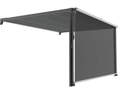 Copertina Retractabila Verticala 3, 94x3, 94 M Transparenta Pentru Pergola Poliester Negru