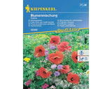 Seminte Flori Kiepenkerl Plante Care Atrag Insectele