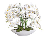Planta Artificiala Orhidee Fluture Phalaenopsis In Vas 8 Ramuri H 70 Cm Alb