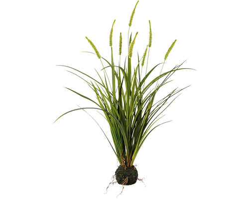 Planta Artificiala Iarba Miscanthus H 75 Cm Verde