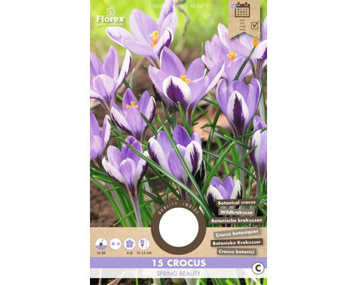 Bulbi De Flori Branduse Spring Beauty 5/7 15 Buc