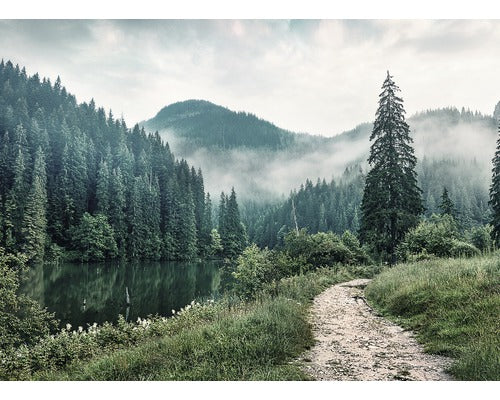 Tablou Canvas Forest Trail 84x116 Cm