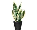 Planta Artificiala Limba Soacrei Sanseveria In Ghiveci H 33 Cm Verde