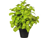 Planta Artificiala Tufa Busuioc In Ghiveci H 30 Cm Verde