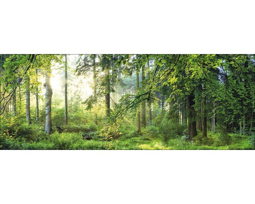 Tablou Sticla Forest Harmony I 50x125 Cm