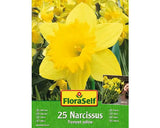 Bulbi Narcise Floraself Galbene 12/14 25 Buc