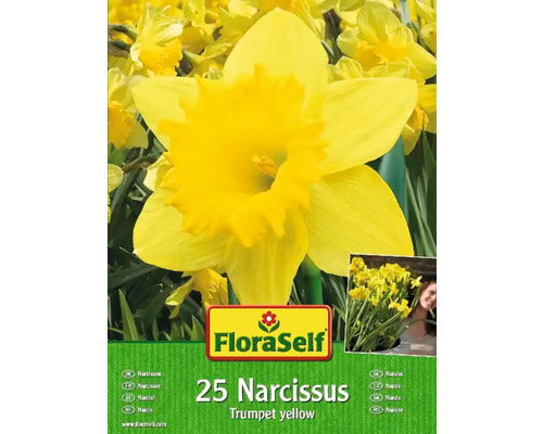 Bulbi Narcise Floraself Galbene 12/14 25 Buc