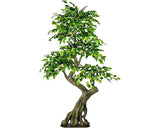 Planta Artificiala Feriga Benjamina In Ghiveci H 170 Cm