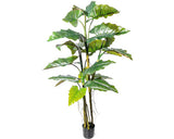 Planta Artificiala Colocasia In Ghiveci H 180 Cm Verde