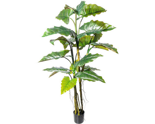 Planta Artificiala Colocasia In Ghiveci H 180 Cm Verde