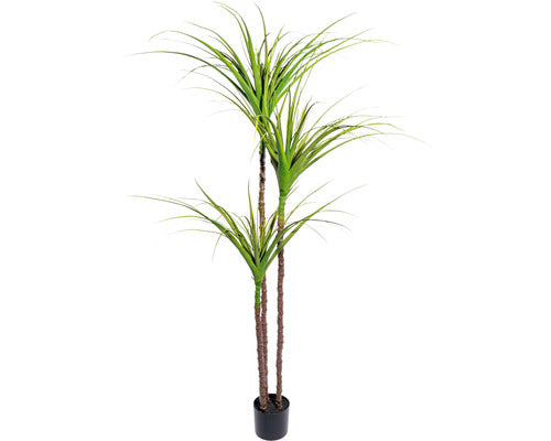 Planta Artificiala Dracena In Ghiveci H 180 Cm Verde