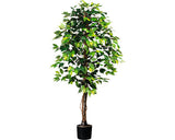 Planta Artificiala Feriga Benjamina In Ghiveci H 150 Cm 840 Frunze Verde