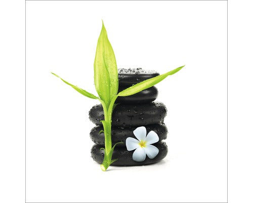 Tablou Sticla Stone & Plant I 30x30 Cm