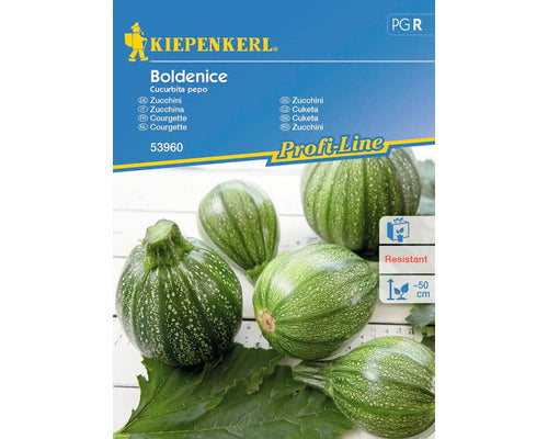 Seminte Legume Kiepenkerl Dovlecei Boldenice F1