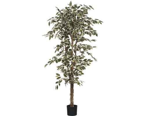 Planta Artificiala Ficus Hawalli, Verde
