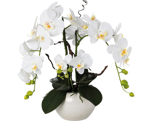 Planta Artificiala Orhidee Fluture Phalaenopsis In Ghiveci H 55 Cm Alb