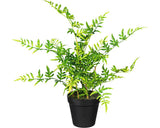 Planta Artificiala Feriga Japoneza In Ghiveci H 40 Cm Verde