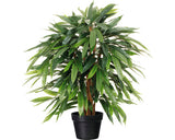 Planta Artificiala Ficus Plangator H 80 Cm Verde