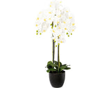 Planta Artificiala Orhidee Fluture Phalaenopsis In Vas Ceramic H 99 Cm Alb