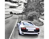 Tablou Canvas Scenic Drive 60x60 Cm