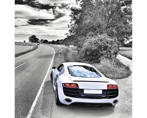 Tablou Canvas Scenic Drive 60x60 Cm