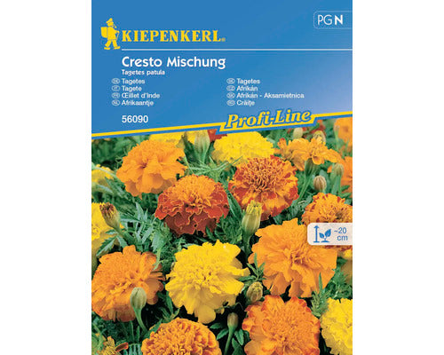 Seminte Flori Kiepenkerl Craite Cresto