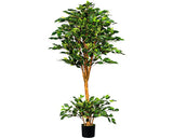 Planta Artificiala Feriga Benjamina In Ghiveci H 150 Cm 1482 Frunze Verde