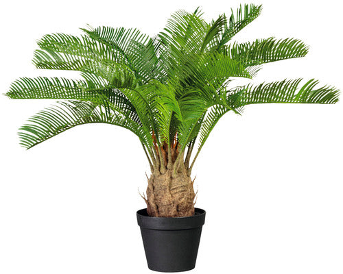 Palmier Artificial Cycas Revoluta H 60 Cm Verde