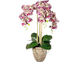 Planta Artificiala Orhidee Fluture Phalaenopsis In Vas H 75 Cm Roz