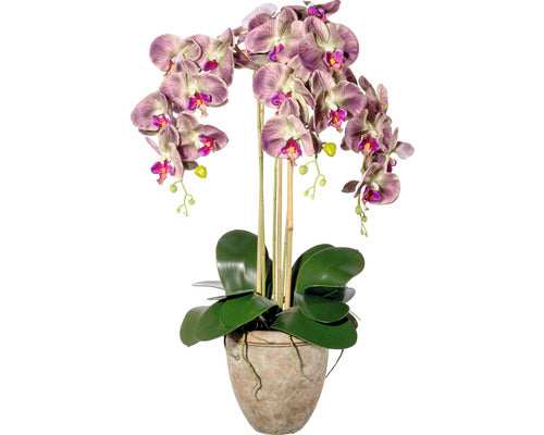 Planta Artificiala Orhidee Fluture Phalaenopsis In Vas H 75 Cm Roz