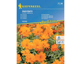 Seminte Flori Kiepenkerl Cosmos Mandarin