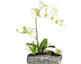 Aranjament Artificial Orhidee Phalaenopsis In Vas H 40 Cm Alb