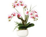 Planta Artificiala Orhidee Fluture Phalaenopsis In Vas Ceramic H 46 Cm Lila
