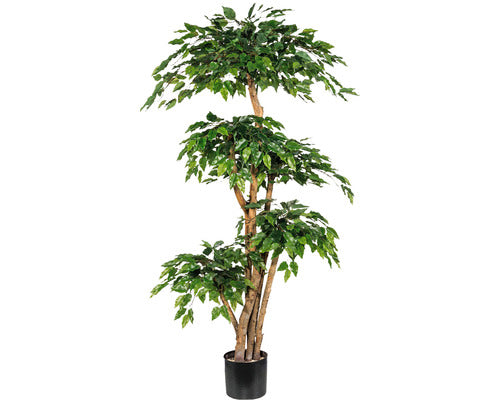 Planta Artificiala Ficus Benjamina In Ghiveci H 170 Cm Verde